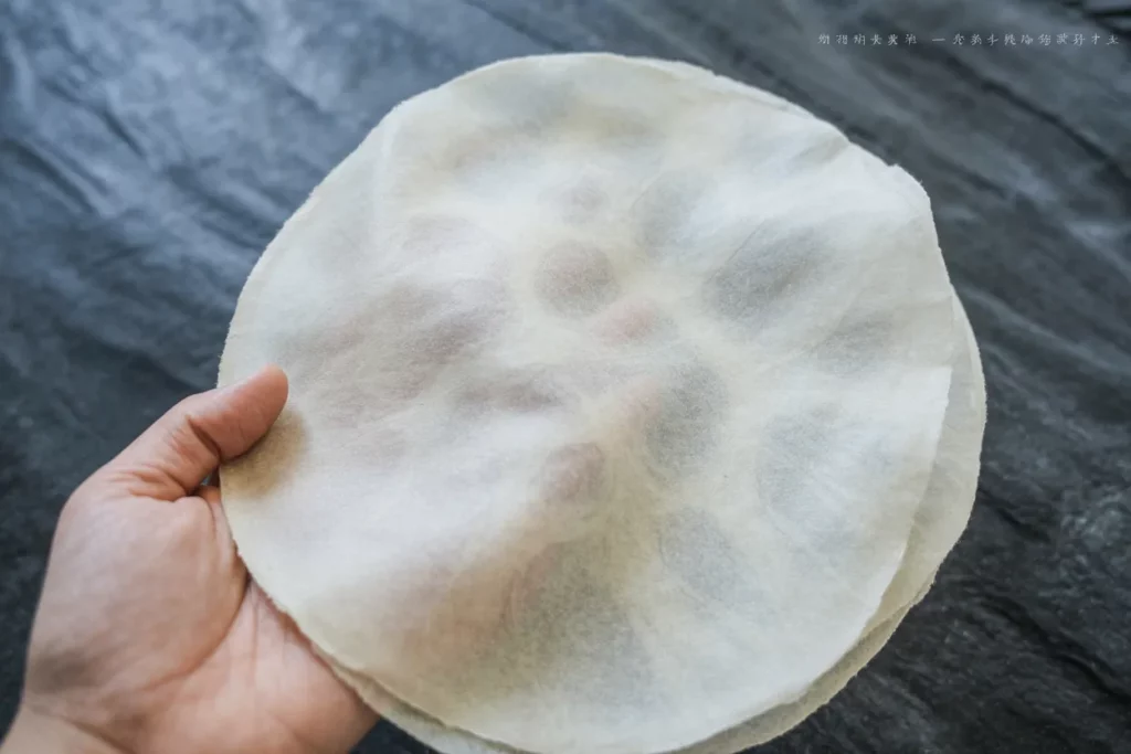 Vegan Lumpiang Shanghai
