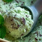 Mint Chocolate Chip Ice Cream